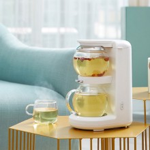 全自動煮茶器家用多功能玻璃小型迷你泡茶機煮定制公司廣告禮品